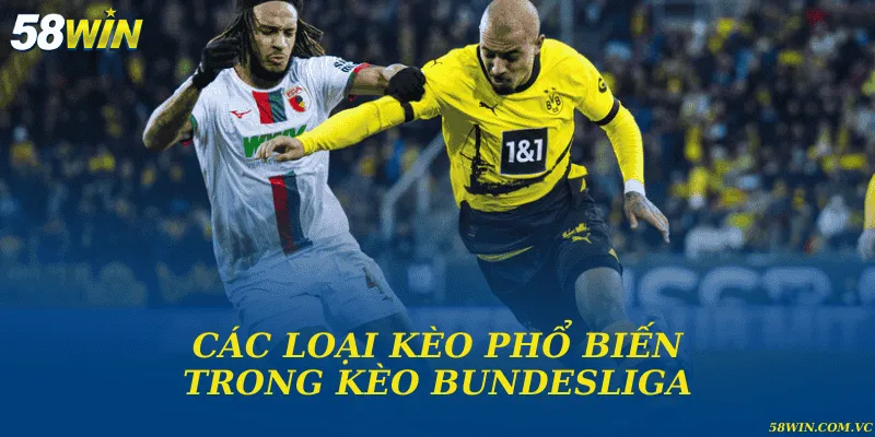 Kèo Bundesliga – Phân Tích Tỷ Lệ & Xu Hướng Từ Chuyên Gia Các loại kèo phổ biến trong kèo Bundesliga