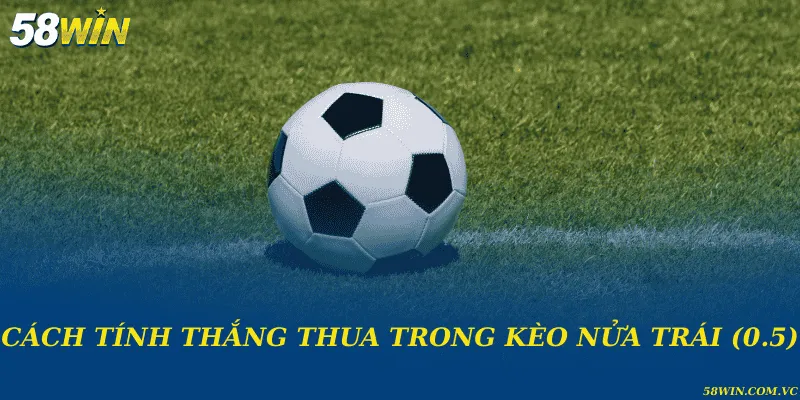 Kèo Nửa Trái (0.5) - Hướng Dẫn Đọc Kèo Dễ Hiểu Nhất Cách tính thắng thua trong kèo nửa trái (0.5)