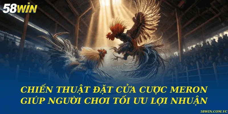 Cửa Cược Meron – Lựa Chọn Tối Ưu Khi Tham Gia Đá Gà Chiến thuật đặt cửa cược Meron giúp người chơi tối ưu lợi nhuận
