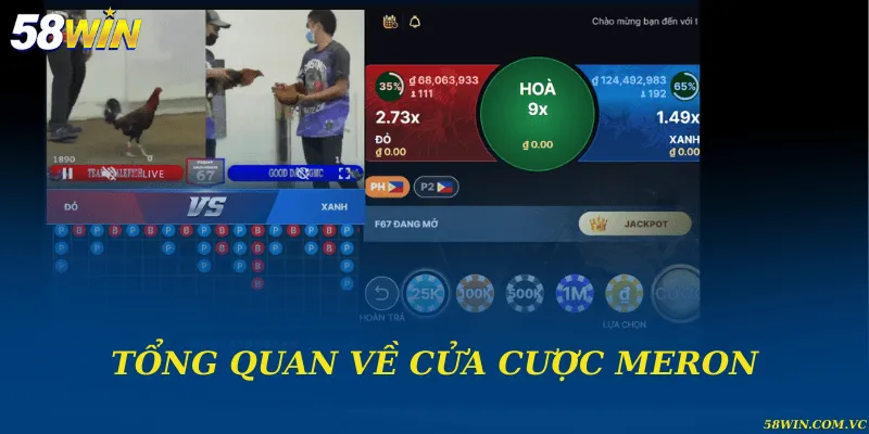 Cửa Cược Meron – Lựa Chọn Tối Ưu Khi Tham Gia Đá Gà Tổng quan về cửa cược Meron
